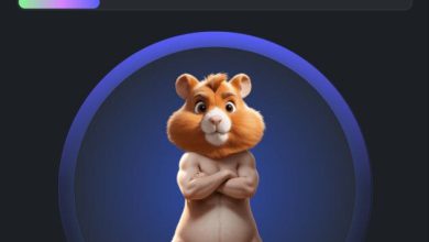 همستر کامبت چیست؟ آموزش کامل Hamster Kombat