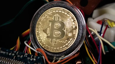 شرکت Bitfarms در سه ماهه دوم 2024 با زیان خالص 27 میلیون دلاری روبهرو شد