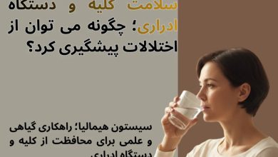 سلامت کلیه و دستگاه ادراری؛ چگونه می توان از اختلالات پیشگیری کرد؟