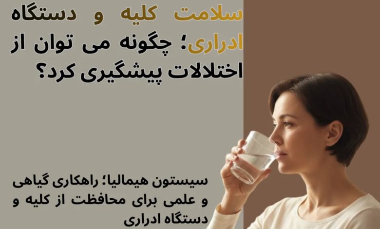 سلامت کلیه و دستگاه ادراری؛ چگونه می توان از اختلالات پیشگیری کرد؟